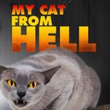 Jackson Galaxy From Animal Planets My Cat From Hell
