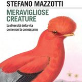 Stefano Mazzotti "Meravigliose creature"