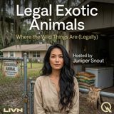 Legal Exotic Animals - No Rules, No Problem? Inside America's Unregulated States
