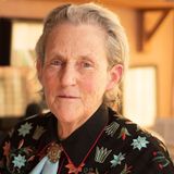 Ep. 73 - Temple Grandin