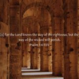 AN ENCOURAGEMENT FOR TODAY (Episode 532 - Preachify Daily Devotional)