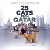Special Report: Mye Hoang on 25 Cats from Qatar (2025)