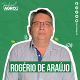 Bambu como oportunidade produtiva e solução sustentável para o agro #421