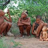 Storica sentenza in Kenya: gli indigeni battono i finti progetti “green” delle multinazionali