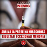 Medicina, Arriva La Proteina Miracolosa: Risultati Eccezionali sulla Memoria!