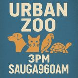 Urban Zoo - Episode 91 - Mississauga Mayoral Candidates Alvin Tedjo and Brian Crombie