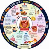 EP-274| Extra Food → Belly Fat → Disease! | 🏆 "🍔 খাবার থেকে রোগ পর্যন্ত শরীরের গোপন যাত্রা | wellness podcast