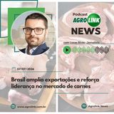 Goiás lidera produção de sorgo com alta de 40% na safra
