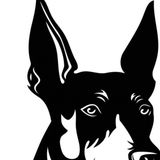 Doberman Room... Meh... Not bad. Not great