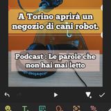 Episodio 1563 - A Torino aprirà un negozio di cani robot.