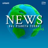 La spugna che potrebbe cambiare il destino degli oceani