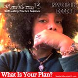 NWO is in Effect What is Your Plan?