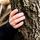 Il con-tatto con la natura - Meditazione 2