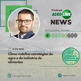 Sorgo avança e deve ampliar área plantada em 11% na safra 25/26