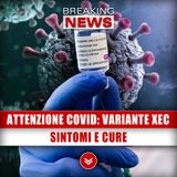 Attenzione Covid, Variante Xec: Sintomi E Cure!