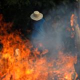 Amazon rainforest wildfires: "Our house is burning"