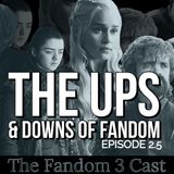 How Fandom Works & The Ups & Downs Of Fandom