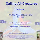 On The Wings of Love - Bird Rescues
