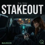 Stakeout - The Other Side of the Glass