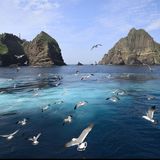 The Commodification of Dokdo Island: Nationalism in the Marketplace