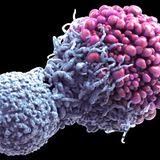 Turbo Cancer Record Projection | Covid 19 Conspiracy Podcasts