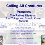 The Rabies Disease: And Things You Should Know About It
