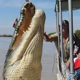 Harry and the monster croc