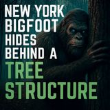 NEW YORK SASQUATCH: THE BIGFOOT WAS FIXED ON MY DOG AS IT HID BEHIND A TREE STRUCTURE!
