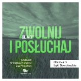 Zwolnij i posłuchaj #3: Łąki Nowohuckie