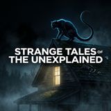 Bones on the Roof, Hidden Paths in the Woods, and a Box That Wouldn’t Let Go