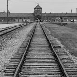Giorno della memoria: significato e riflessioni sul 27 gennaio