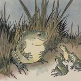 De kikkers en de os | Aesopus Fabels