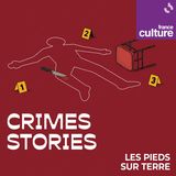 Crime stories : Profession hacker