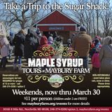 How to experience Maple Syrup Tours at Maybury Farm in Northville (2024)