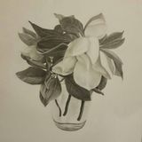 Immagine di copertina di 'Colors'