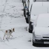 El climatólogo que persigue al frío: "No apostaría un duro a lo que va a pasar con el clima"