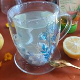 INFUSO ANTI VAMPATE DIURNO