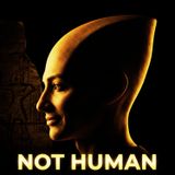 They Tried to Delete This Pharaoh for 3,000 Years... Here's Why