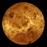 Things You Thought You Knew – Venus Pizza