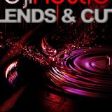 DJ Hustle Blends & Cuts 2