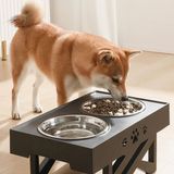 Améliorez l’heure des repas : pourquoi une gamelle surélevée pour chien est un élément clé pour la santé de votre animal