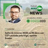 Chuvas reduzem moagem de cana e produção de açúcar no Centro-Sul