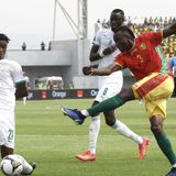 Cameroon Roars - Show 8 - 15 January - Warriors out - Senegal yet to impress
