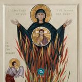 La crèche et le buisson (30-12-2025)