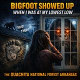 SASQUATCH STOOD OUTSIDE MY WINDOW FOR 15 MINUTES | THE OUACHITA NATIONAL FOREST IN ARKANSAS