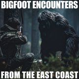 BIGFOOT ENCOUNTERS IN THE HUDSON GORGE WILDERNESS | EXPERIENCES IN THE OCEANEE NATIONAL FOREST