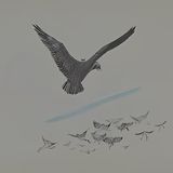 Wie die Vögel einen König bekamen | Geschichten mit Tieren