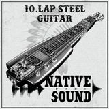 10. Lap Steel Guitar