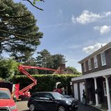 Tree Care in Cold Weather Best Practices for Winter Health