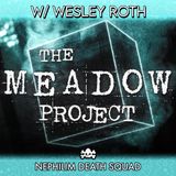 188: The Meadow Project w/ Wesley Roth | Nephilim Death Squad